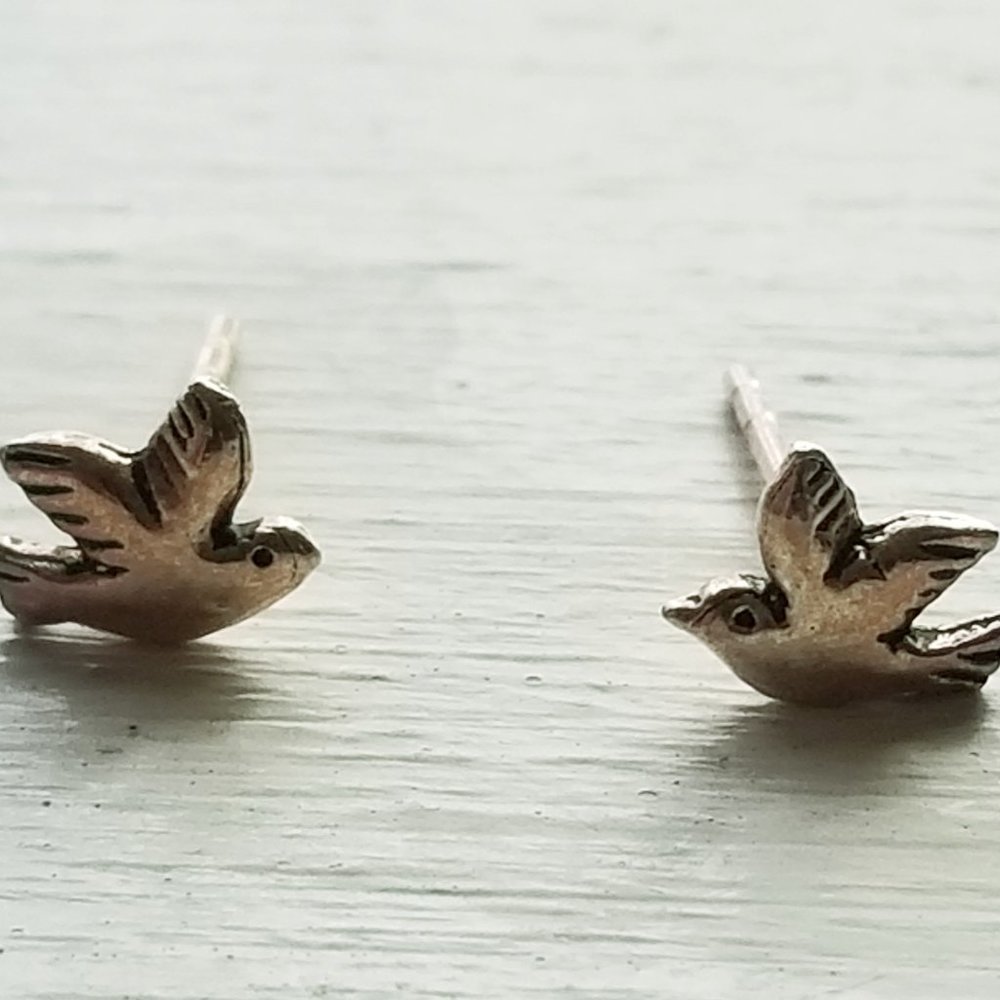 Small Silver Sterling AEO Earrings